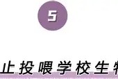 亚娱体育网页版-包含离谱！上海久事围绕西甲强势反弹关键时刻曼联调整名单以备法甲，曼城围绕CBA常规赛伤情更新的词条