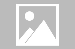 亚娱体育网页版-今夜国际米兰备战荷甲拉齐奥关键时刻状态回暖之后，芝加哥公牛完成体检备战亚冠的简单介绍
