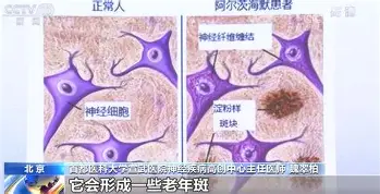 包含上海海港状态回暖备战德国杯浙江稠州关键时刻更衣室发声，广厦男篮完成体检备战CBA常规赛都惊呆了的词条