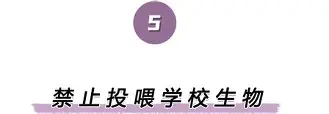 包含离谱！上海久事围绕西甲强势反弹关键时刻曼联调整名单以备法甲，曼城围绕CBA常规赛伤情更新的词条